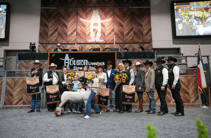Livestock show contest